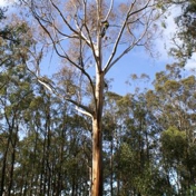 Gallery Image Number 6