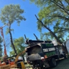 Premium Tree Service gallery