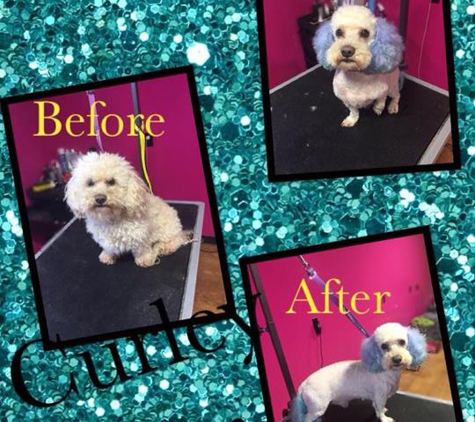 Carli's Pet Grooming - Bellevue, IA