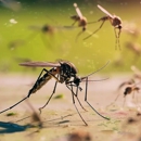 Paul Massey Pest Control - Pest Control Equipment & Supplies