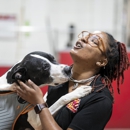 The Dog Stop - West Liberty/South Hills, Pittsburgh