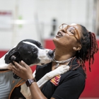 The Dog Stop - West Liberty/South Hills, Pittsburgh