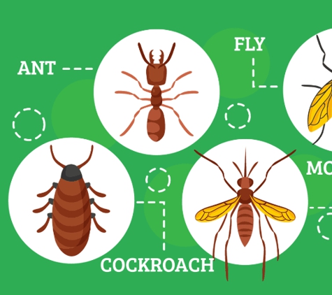 Wimmera Pest Control - Horsham, VIC