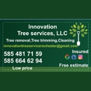 Innovation Tree Services - Tree Service