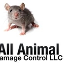 All Animal Damage Control LLC - Animal Removal Services