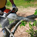 Twin Cities Tree Service - Tree Service