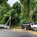 LTRC-Tree Specialists - Tree Service