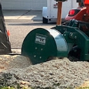 Trees All Day Tree Service - Tree Service