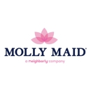 Molly Maid of West Palm Beach and Boynton Beach - Building Cleaning-Exterior