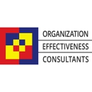 Organization Effectiveness Consultants - Management Consultants