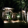 Serenity Landscape Lighting gallery