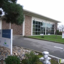 Evolved Machines - Management Consultants