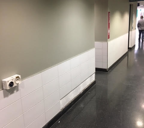 Foreshore Projects and Maintenance - Haymarket, NSW