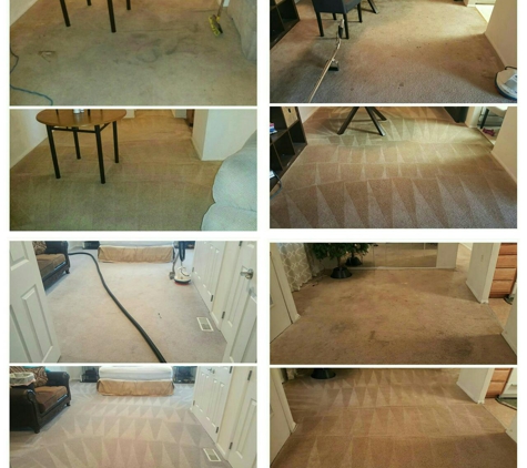 Best Care Carpet Cleaning