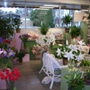 Basket Tree Florist