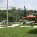 Arlington Pointe Apartments - Apartments