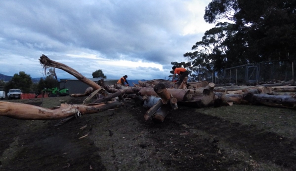 Stump Pro - Hobart, TAS