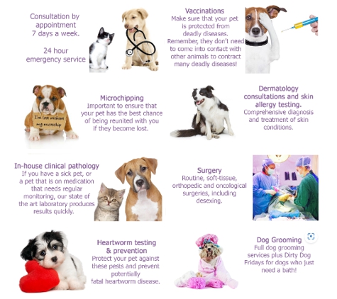 Canobolas Family Pet Hospital - Orange, NSW