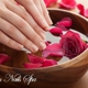 Queen Nails Spa