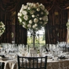 We Dream Weddings gallery