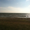 Catawba Island State Park gallery