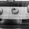 Molecular Imaging gallery