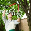 Affordable Tree Service By Mark Hicks