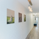 Ashley Stone Photography - Photography Schools