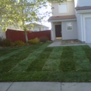 Lawn Pro Solutions - Landscaping & Lawn Services