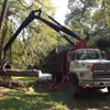 WM Tree Service gallery