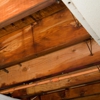 Florida Gulf Mitigation gallery