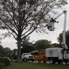 Quality Tree Experts Inc