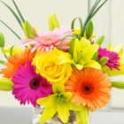 Beneva Flowers