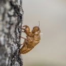 Lemke Pest Control - Pest Control Equipment & Supplies