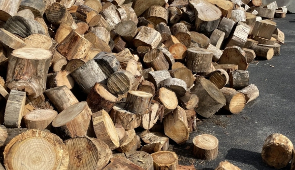 Firewood Devils - Leslie Vale, TAS
