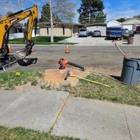 Timber Ridge Tree Service