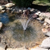 Leasure Landscapes gallery