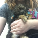 Harbor Pet Center - Pet Stores