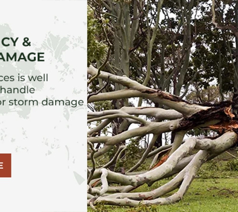 A1 Tree Specialists - Tarleton, TAS. Emergency & Storm Damage