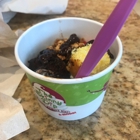 The Skinny Dip Frozen Yogurt Bar