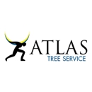 Atlas Tree Service - Tree Service