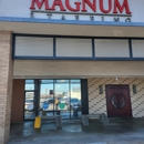 Magnum Staffing Services - Employment Agencies