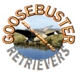 Goosebuster Retrievers