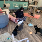 Purrfect Day Cat Cafe