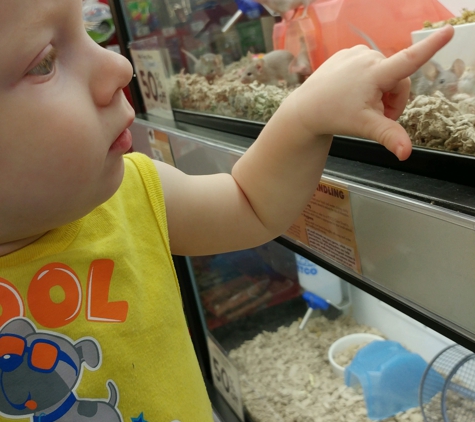 Petco - Vancouver, WA