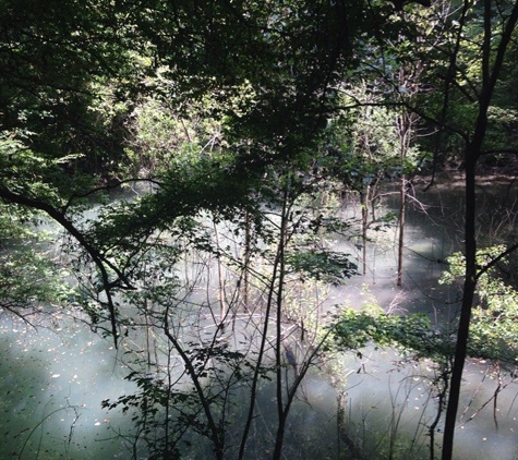 Devil's Millhopper Geological State Park - Gainesville, FL