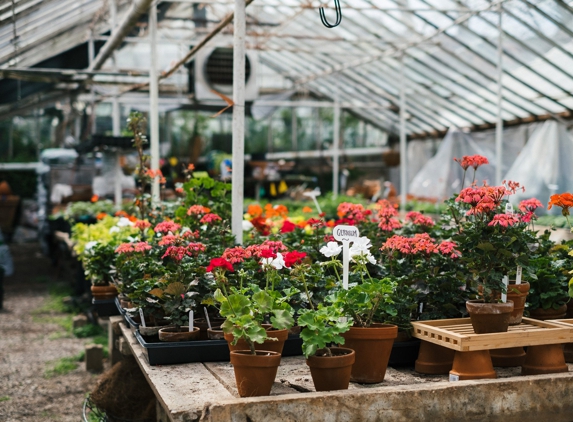 Michler's Florist, Greenhouses & Garden Design - Lexington, KY