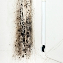 AdvantaClean of Coastal Carolina - Fire & Water Damage Restoration