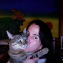 Quality Cat Care - Cat Sitting & Boarding  (Diane Gordon) - Pet Services