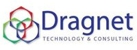 Dragnet Technology & Consulting Logo